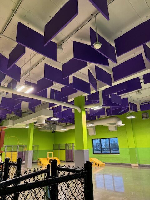 Purple VET acoustic baffles suspended from the ceiling of a dog daycare facility to reduce barking noise and echo in a large indoor pet play area with bright green walls and agility equipment.