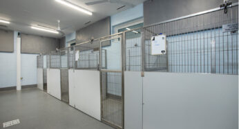 New York Animal Shelters: Prepare for 2025 Noise Regulations with VET Panels and VET Baffles